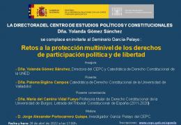Seminario García-Pelayo :  Retos a la protección multinivel de los derechos de participación política y de libertad